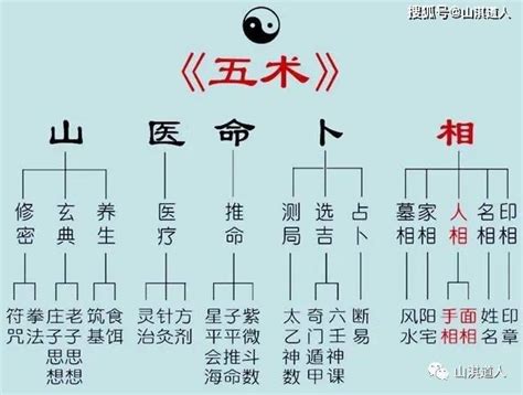 五術命理|山、醫、命、相、卜：這傳統五術說的到底是啥？